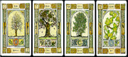 tarot de arbol celta